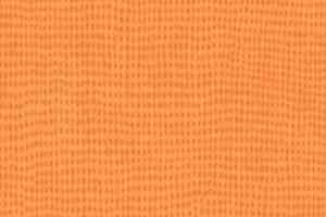 Линолеум Taralay Initial Comfort 0600 Clementine фото  | FLOORDEALER